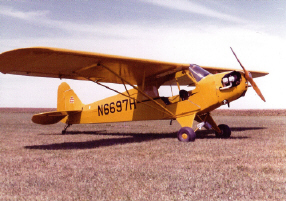 cub - click to enlarge