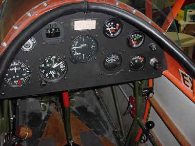 parakeet (3).JPG (62789 bytes)