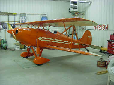 parakeet (6).JPG (59870 bytes)